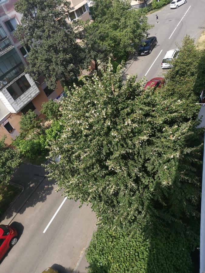 Bloom Box Apartments Craiova Exterior foto