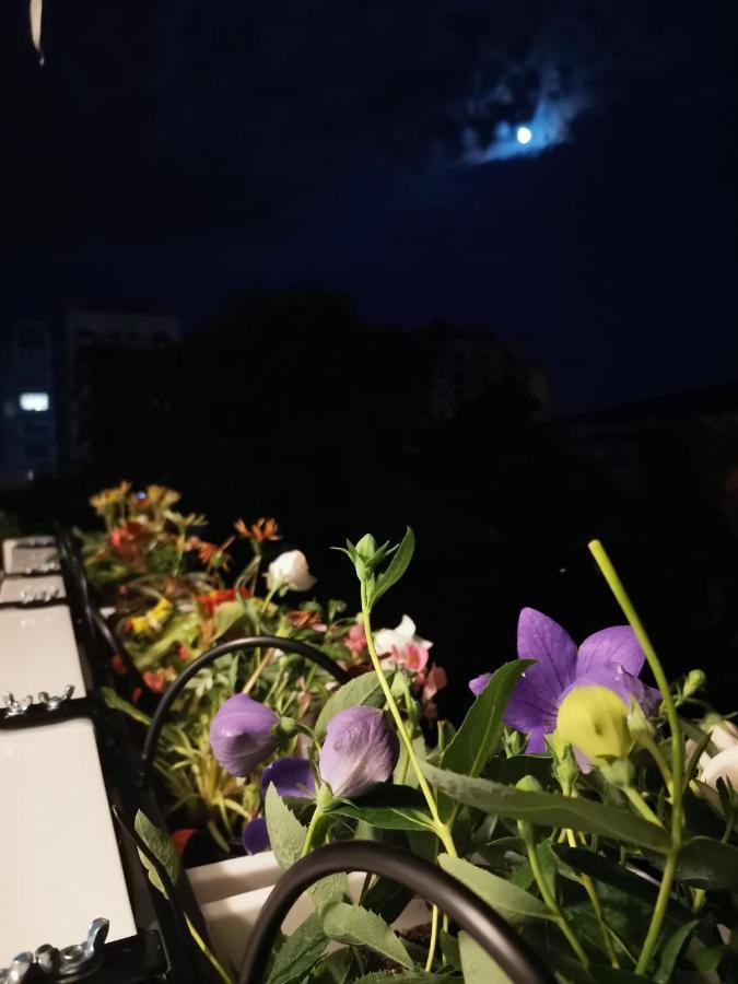 Bloom Box Apartments Craiova Exterior foto
