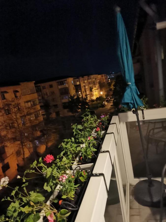 Bloom Box Apartments Craiova Exterior foto